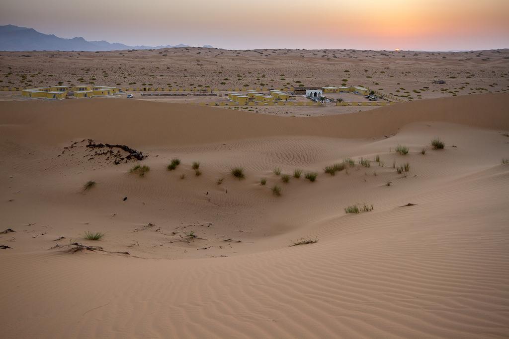 מלון Fulayj al Masha'ikh Golden Palm Oasis מראה חיצוני תמונה